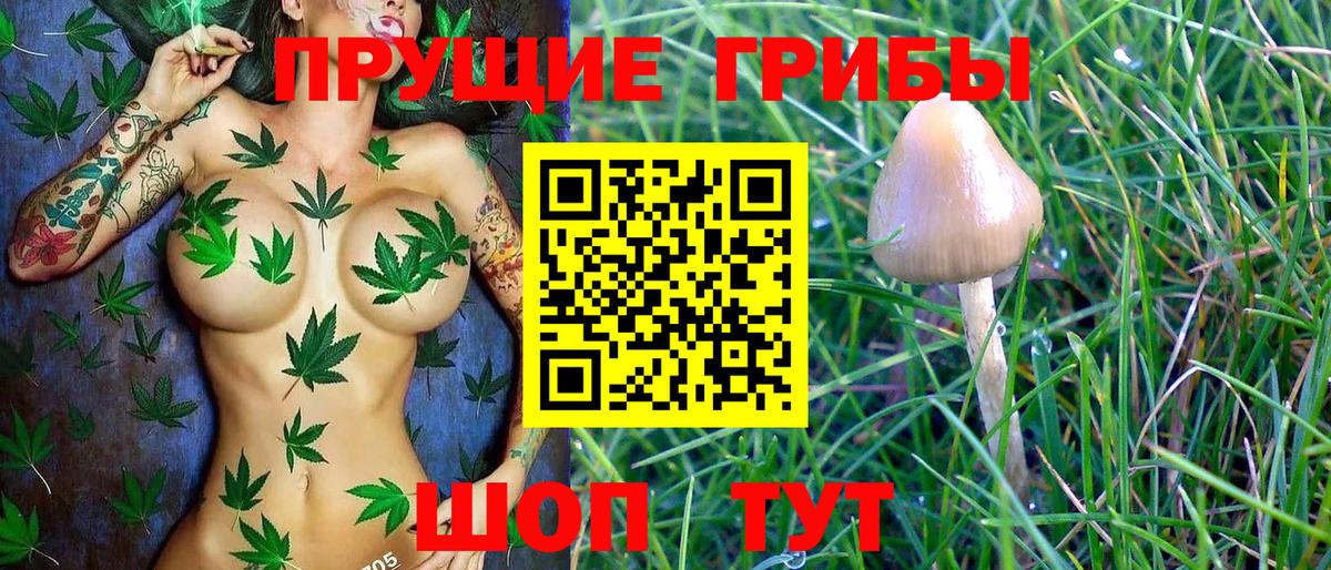 Наро-Фоминск  наркотики  Вход с VPN  Галлюциногенные грибы GOLDEN TEACHER 